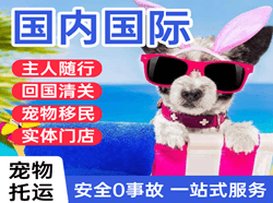 长春机场快运国际宠物托运 【国
